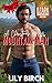A Christmas Rescue By The Mountain Man (Ozark Mountain Men #2)