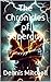 The Chronicles of Superguy by Dennis Mitchell