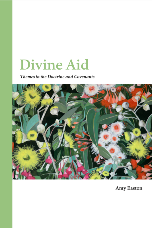 Divine Aid: Themes in the Doctrine and Covenants