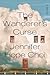 The Wanderer's Curse by Jennifer Hope Choi