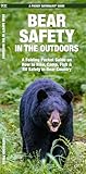 Bear Safety in the Outdoors (Outdoor Recreation and Survival)