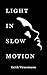 Light in Slow Motion by Keith Wrassmann