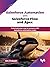 Salesforce Automation with Salesforce Flow and Apex: Automate your way to success with Salesforce automation tools (English Edition)