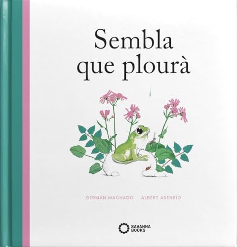 Sembla que plourà (Hardcover)