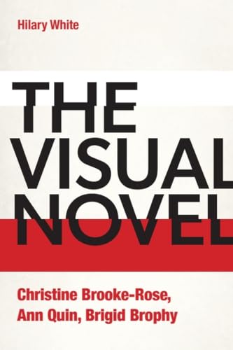 The Visual Novel: Christine Brooke-Rose, Ann Quin, Brigid Brophy (Hardcover)