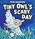 Tiny Owl's Scary Day