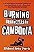 Burning Braincells in Cambodia by Richard John Currie