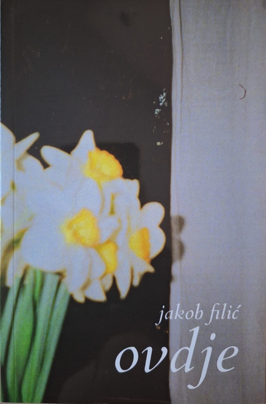 Ovdje (Paperback)