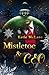 Blame it on the Mistletoe: Eine Enemies to Lovers Christmas Romance. (Christmas Ever After) (German Edition)