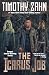 The Icarus Job (The Icarus Saga)