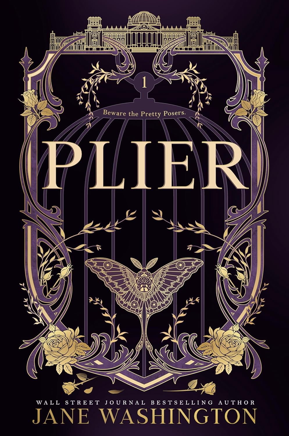 Plier (Ironside Academy #1)