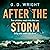 After the Storm