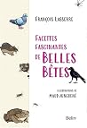 Facettes fascinan...