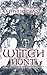 Witch Hunt: These Foolish Things (The Fool's Journey Medieval Fantasy Satire Book 2)