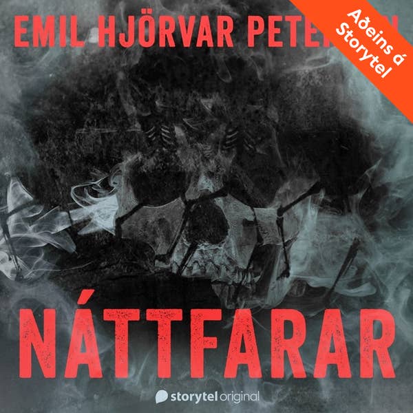 Náttfarar (Audiobook)