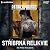 Stříbrná relikvie (Mercy Thompson, #5)