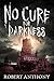 No Cure for Darkness by Robert Anthony