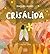 Crisálida (Portuguese Edition)