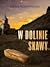 W dolinie Skawy