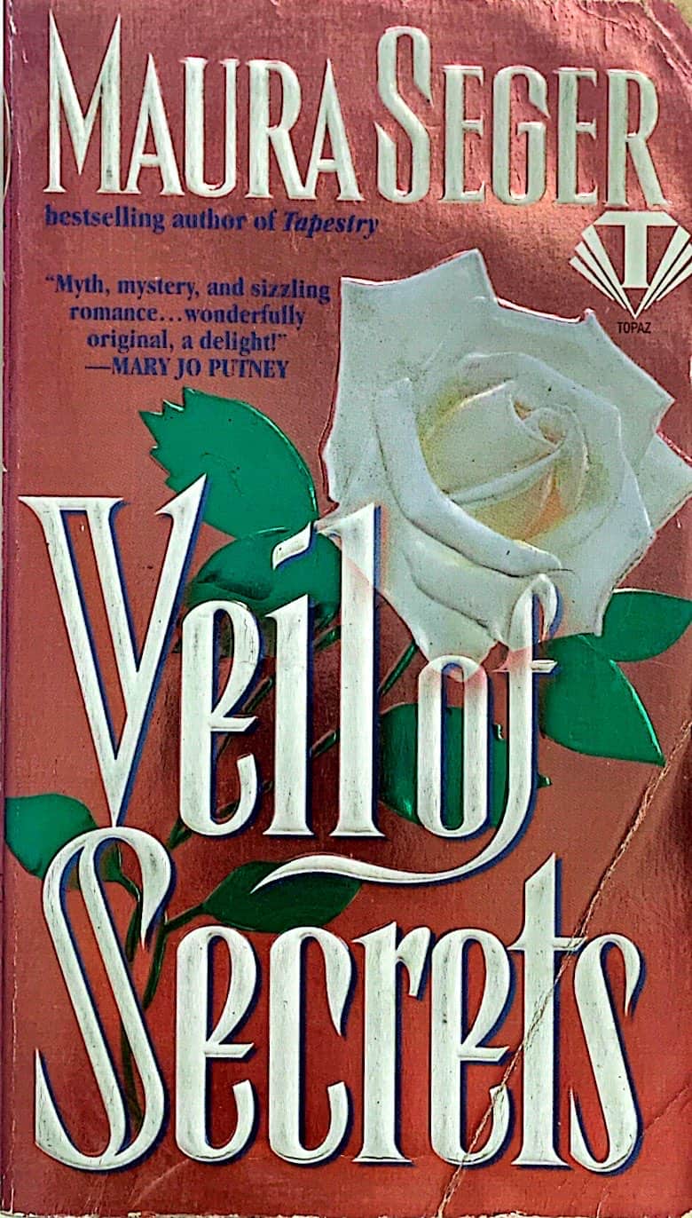 Veil of Secrets (Veil, #1)