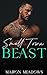 Small Town Beast: Saverin's...