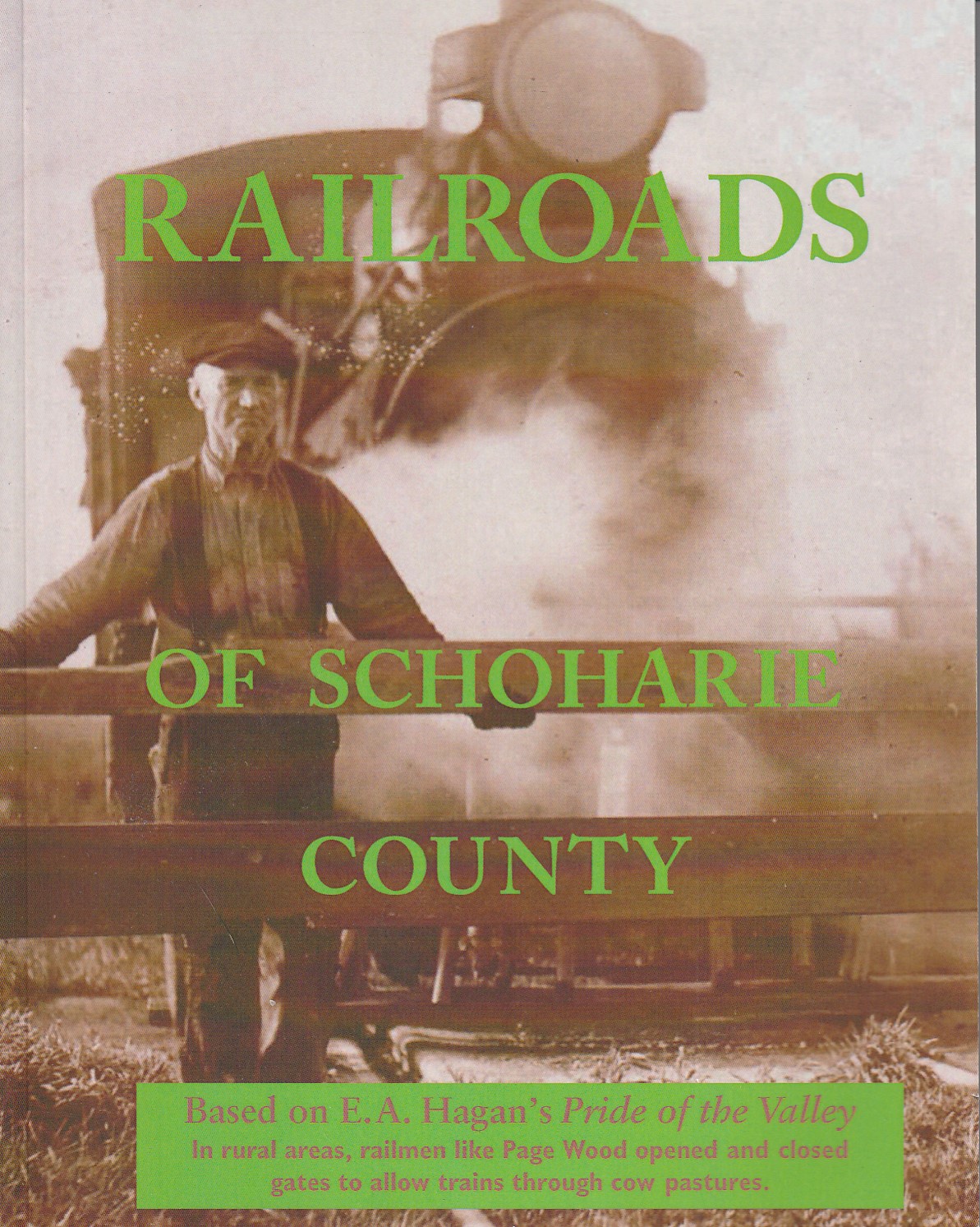 Railroads of Schoharie County (Paperback)
