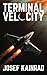 Terminal Velocity