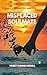 Misplaced Soulmate: Between Fate and Love Lies the Ache of What Could Have Been