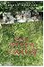 Pale Green Valley.: after t...