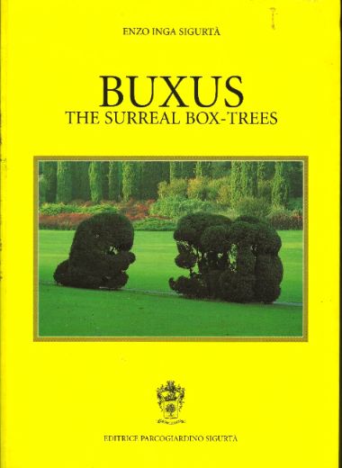 Buxus: The Surreal Box-Trees (Paperback)