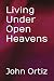 Living Under Open Heavens by John Ortiz