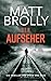 Der Aufseher (German Edition)