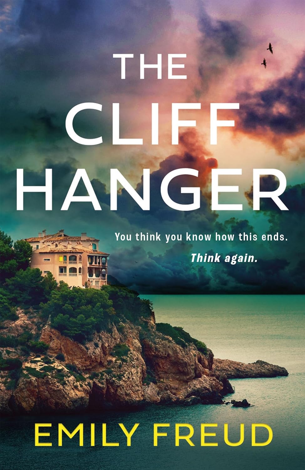 The Cliffhanger (Kindle Edition)