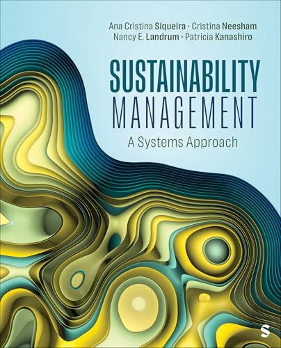 Sustainability Management: A Systems Approach (Paperback)