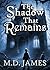 The Shadow That Remains (Th...