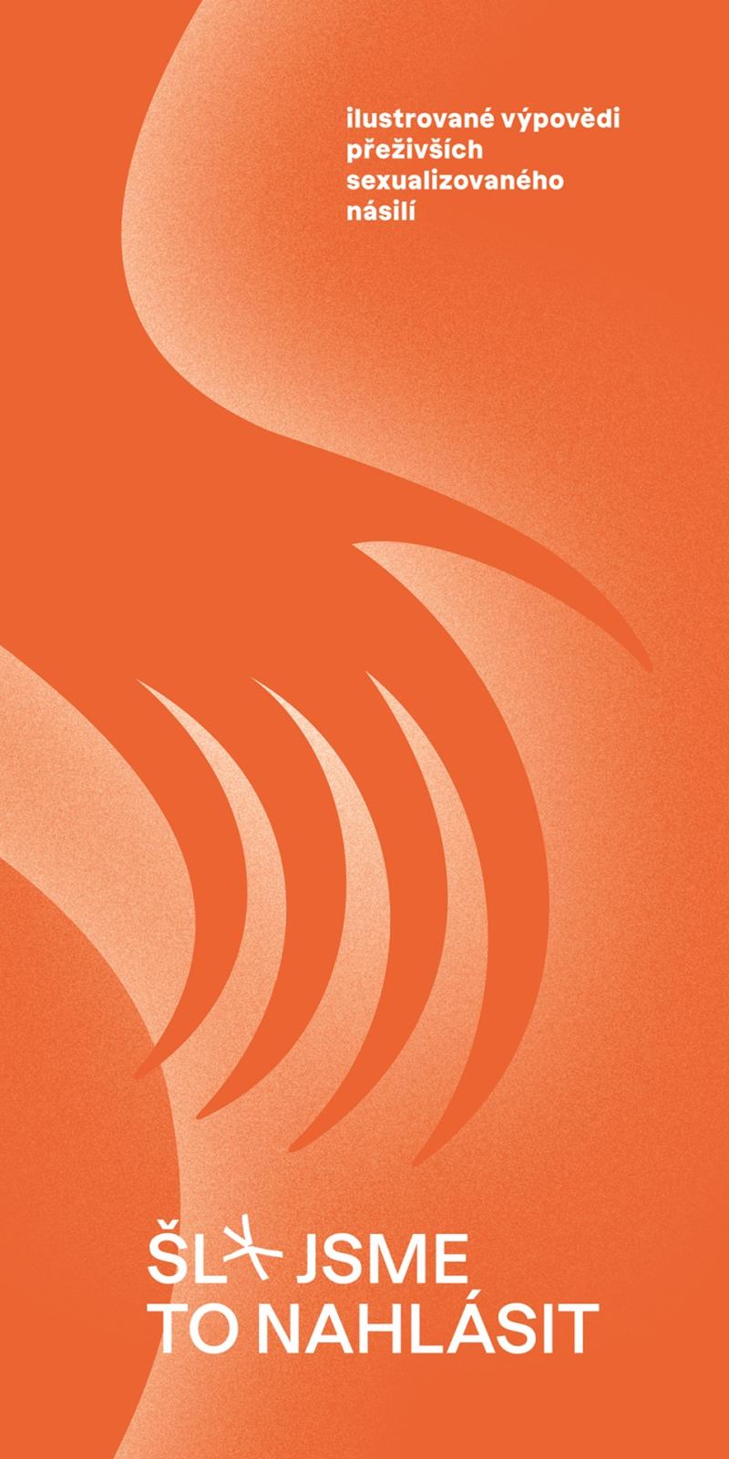 Šl* jsme to nahlásit (Paperback)