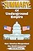 Summary Of Underground Empire by David Stokes