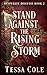 Stand Against the Rising Storm (Desperate Disguise)