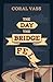 The Day the Bridge Fell by Coral Vass