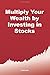 Multiply Your Wealth by Inv...