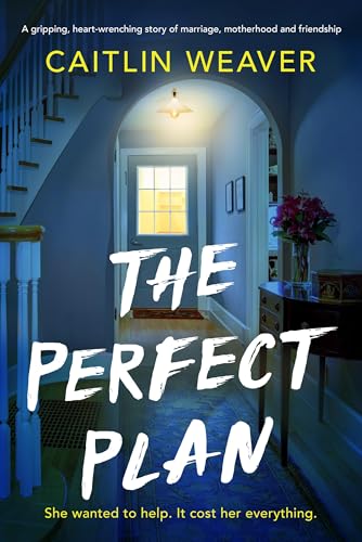 The Perfect Plan (Kindle Edition)