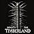 Beneath the Timberland by Stuart Lethe