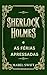 Sherlock Holmes e as férias...