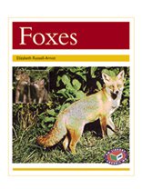FOXES:PM AF GO 21 X 6 (Paperback)