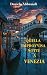 Quella Improvvisa Notte a Venezia by Daniela Alibrandi