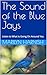 The Sound of the Blue Jays: Listen to What is Going On Around You