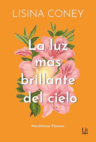 Portada de La luz más brillante del cielo, de Lisina Coney