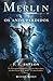 Merlin - Os Anos Perdidos
