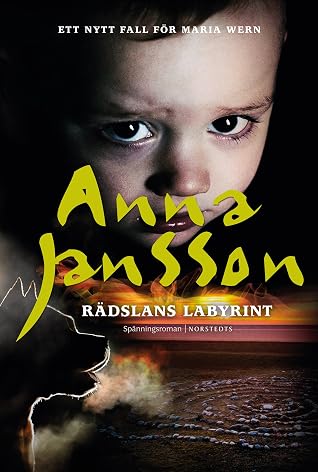 Rädslans labyrint (Maria Wern, #26)