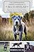 The Comprehensive Owners Handbook To Blue Heeler: Mastering The Art Of Owning, Training, and Raising a Joyful and Well-Behaved Dog